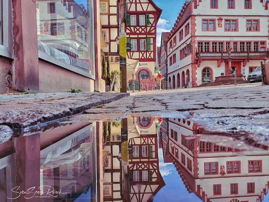 Apartment Zwischen Und Hemsbach *
